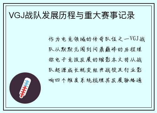 VGJ战队发展历程与重大赛事记录
