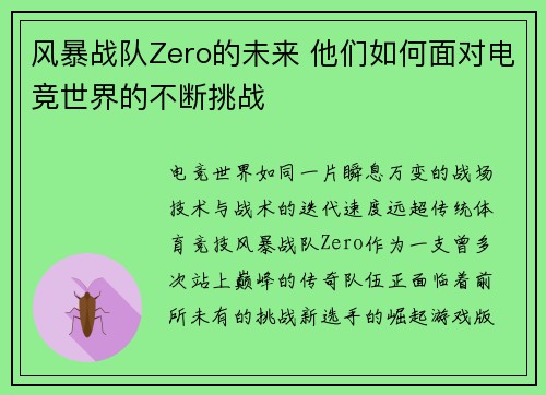 风暴战队Zero的未来 他们如何面对电竞世界的不断挑战
