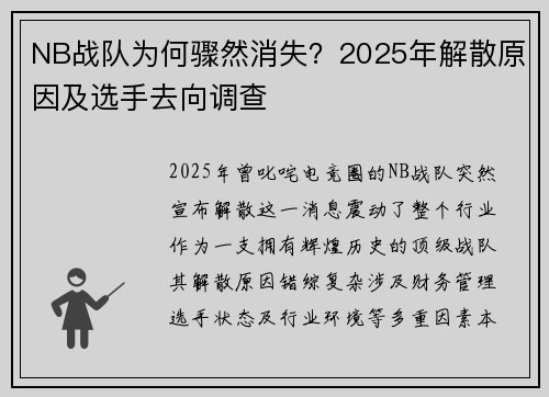 NB战队为何骤然消失？2025年解散原因及选手去向调查